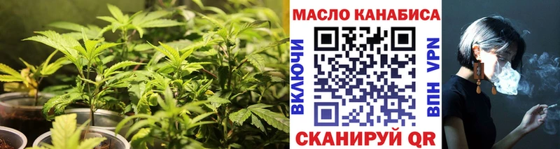 Купить закладки  Пугачёв  ТГК THC oil 